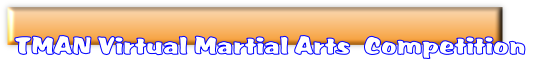 TMAN Virtual Martial Arts  Competition